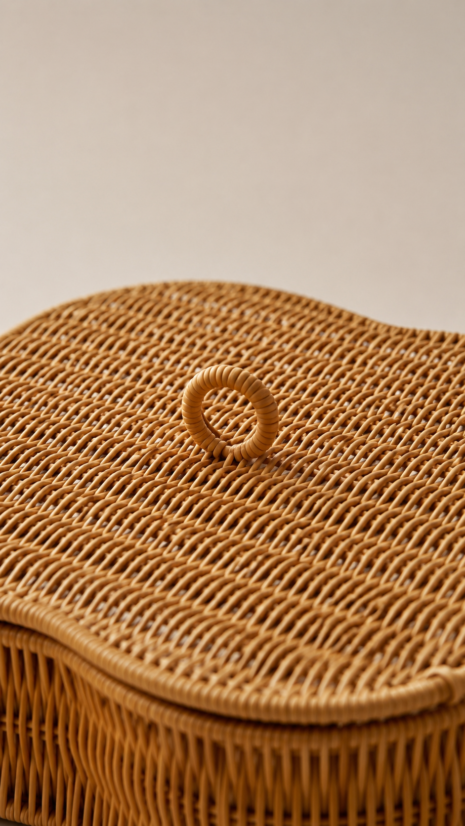 Kapaklı 5 Bölmeli Rattan Organizer Kutu