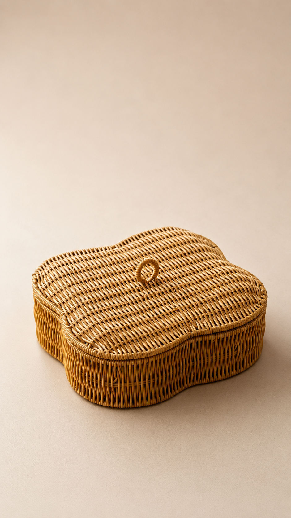 Kapaklı 5 Bölmeli Rattan Organizer Kutu